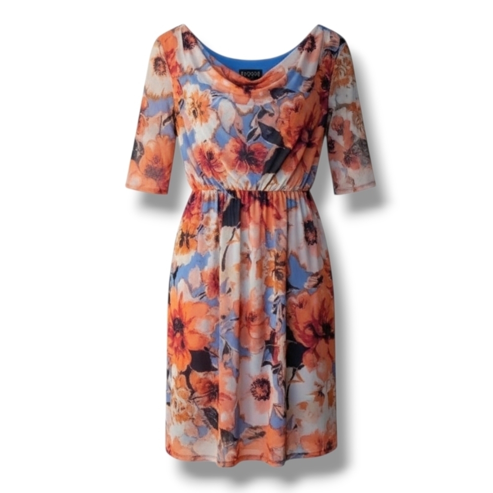 En Focus Studio Women's multicolor floral Draped Neckline mesh lined Dress